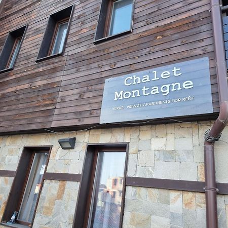 Chalet Montagne Bansko Apartment المظهر الخارجي الصورة